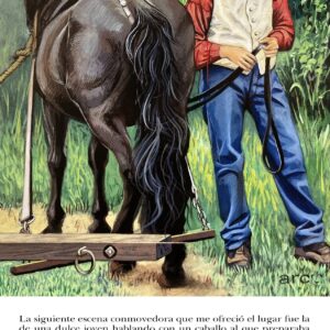 156 Upper Canadá - 400